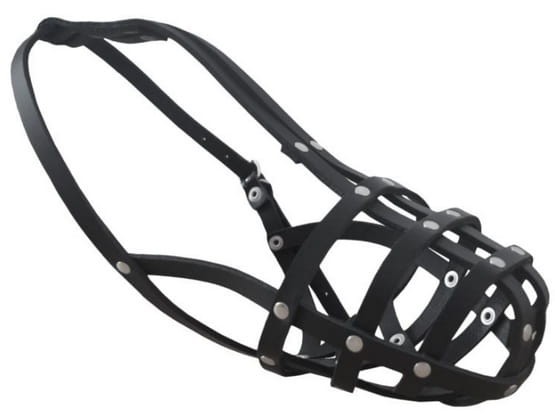 6eecaae56557e9b8bb6240ff49e28f8d