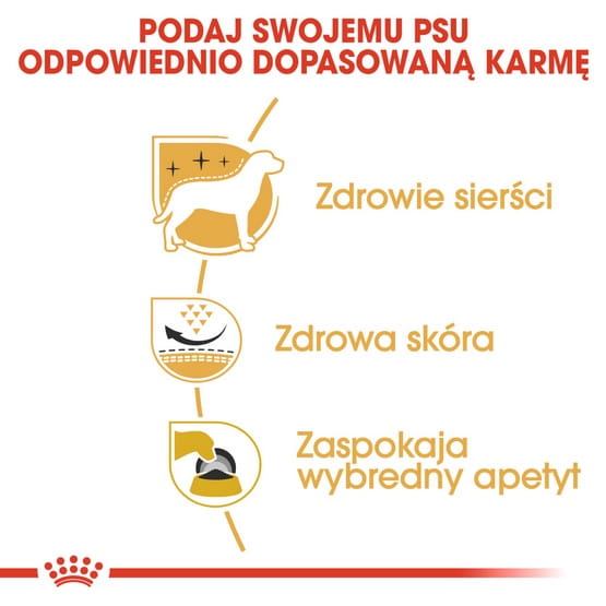 38d91596b0f80cbb4f536fa42ae42169