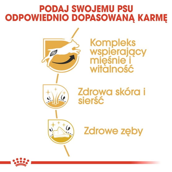 17827e37f2595c11c5be27cbcdb9af15
