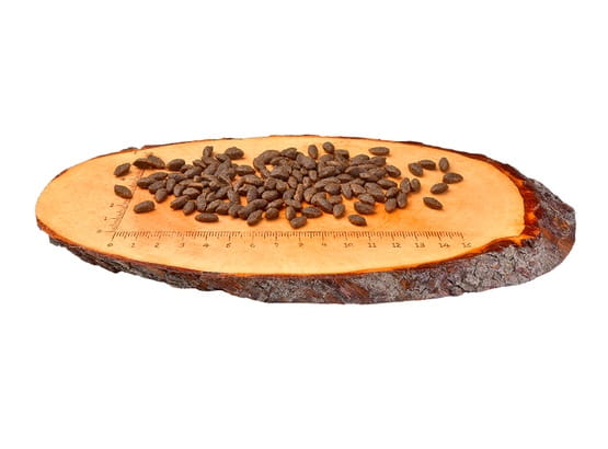 b5d92742d16b8559674c7d2f0b2a65ab