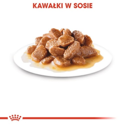 e044ffe7a38e3af6750d61b85d7a4885
