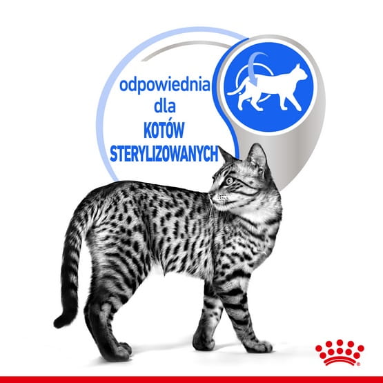 9b3e26fb5c10a427d9471fde3d71f78d