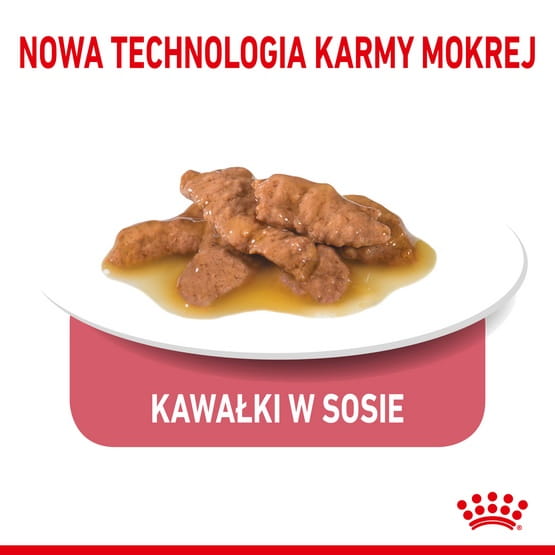 6c5790fed7a0ce4c0e147e6c08803748