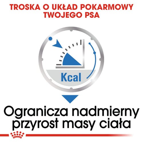 3c9f85ac14db182e10b60c6e83afe780
