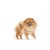 ed1d7d3410e5765778fb4afd4bc4325c