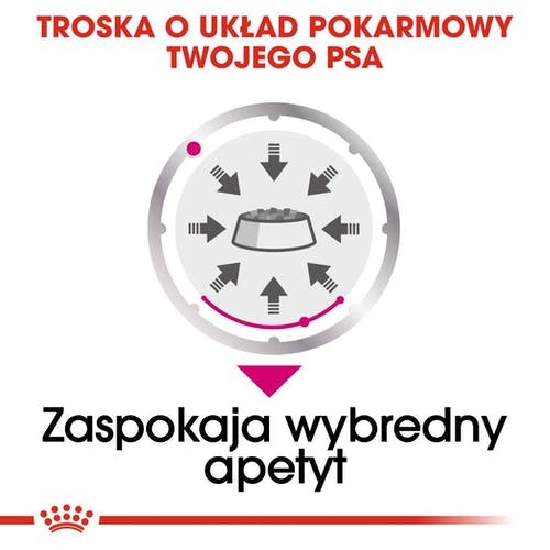 98618a06aad670843e4b2c4246ee1d76