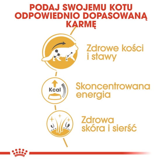 ab6c81dfab7a07589f675f8452541e36