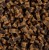 0bf611b9de3250c40a4774beed320d61