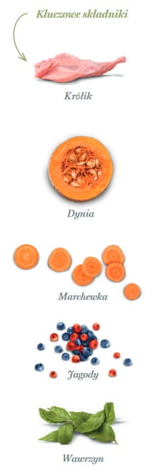 bafcef98a07896b4cce20fa1884953dc