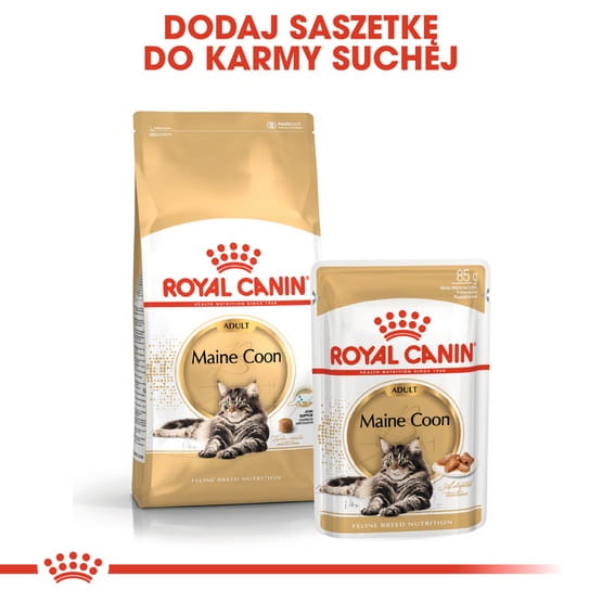 fd088fe24134c8746d8cd4d5e66d41b5