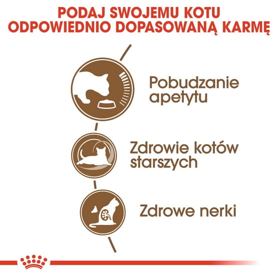 cc4343c48154f7ae95ea7fcadbf2ddc8