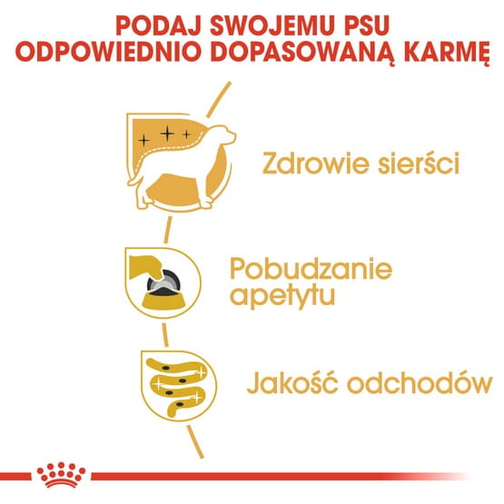 bd219aeb164281798bed59e6e2644a98