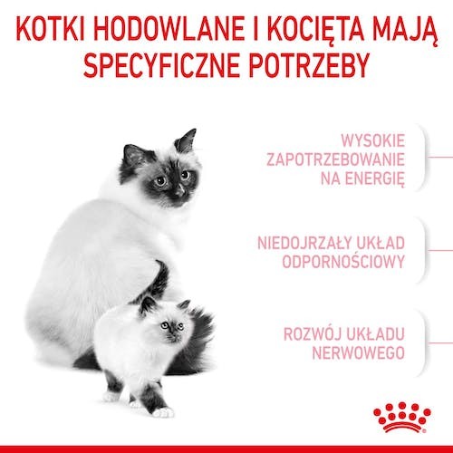 32ca516fe54e679a1014c7d4635204d2