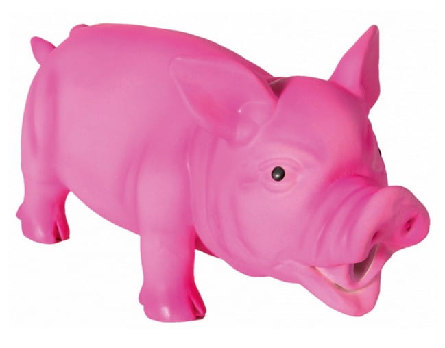 1c568d2867dfdd34f22a384354161c45